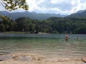 Phone July 2013 2304