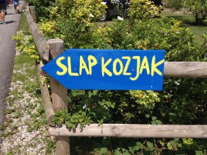 Phone July 2013 2390