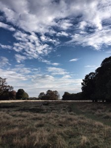 Sunny Richmond morning