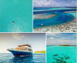 2018-11-18 10_45_17-Maldives Swimming Vacation _ SwimTrek